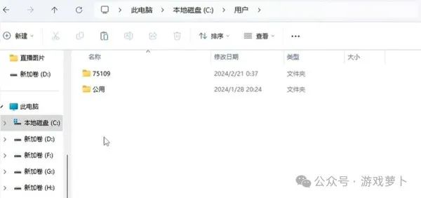 剑灵怀旧服捏脸数据导入导出教程：角色外形分